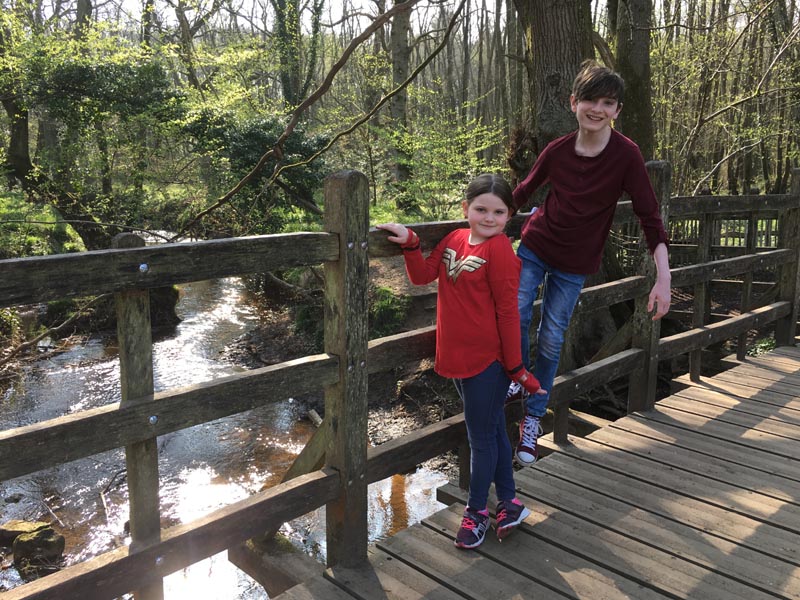 [Poohsticks]